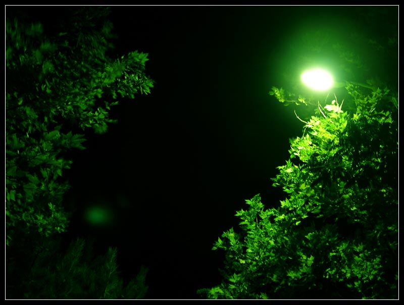 Есть зеленая луна. Зеленая Луна. Фонарь с зеленым светом. Под зелёным светом. Таинственный зеленый свет.